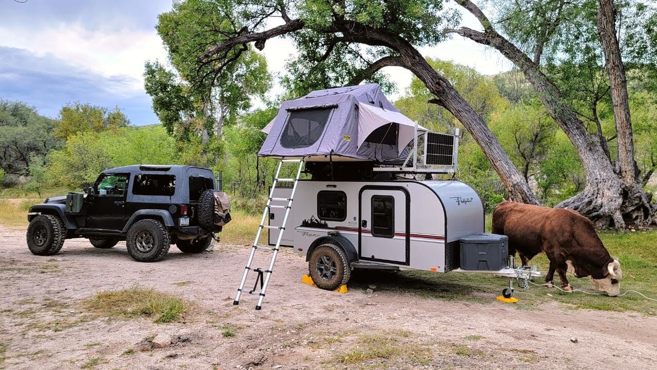 We camped with a MASSIVE bull | Mescal Road | Southern Arizona Dispersed Camping
