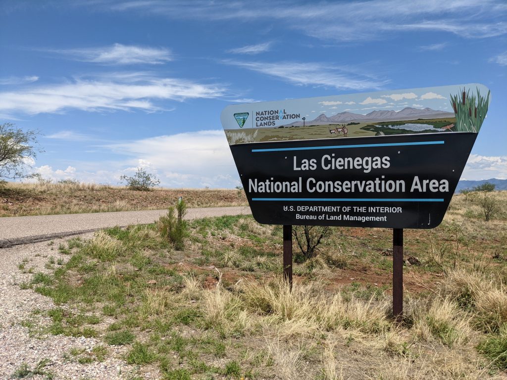 Hidden Grasslands Near Tucson? Why Las Cienegas Is Worth A Visit. 5 pxl 20210718 201119160