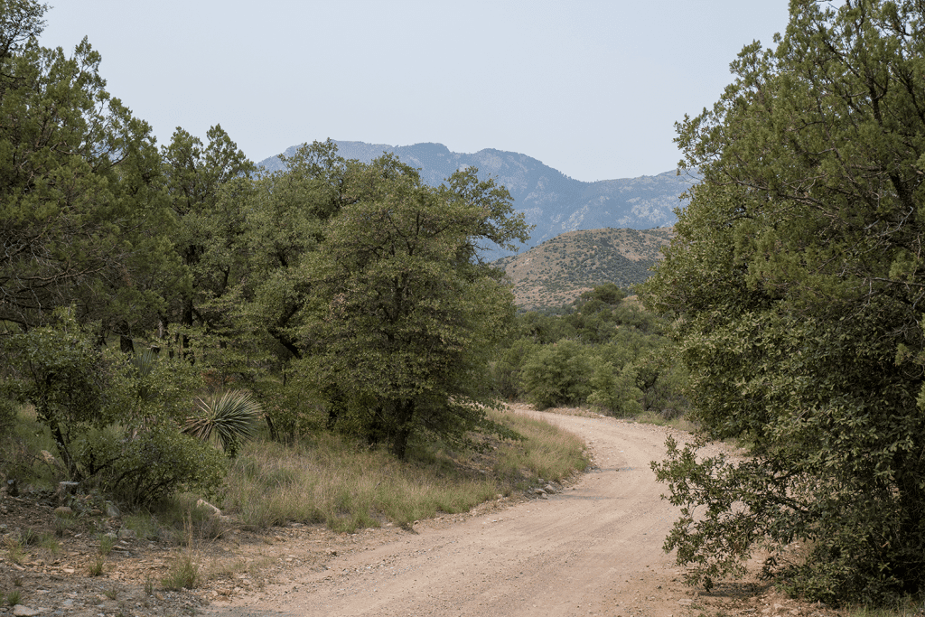 Looking For A Secluded Campsite Near Tucson? Try Gardner Canyon. 2 main road bend gardner canyon arizona
