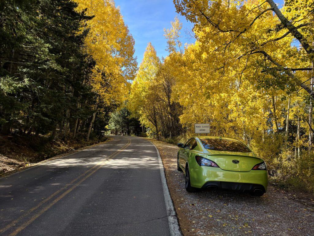 mt lemmon autumn
