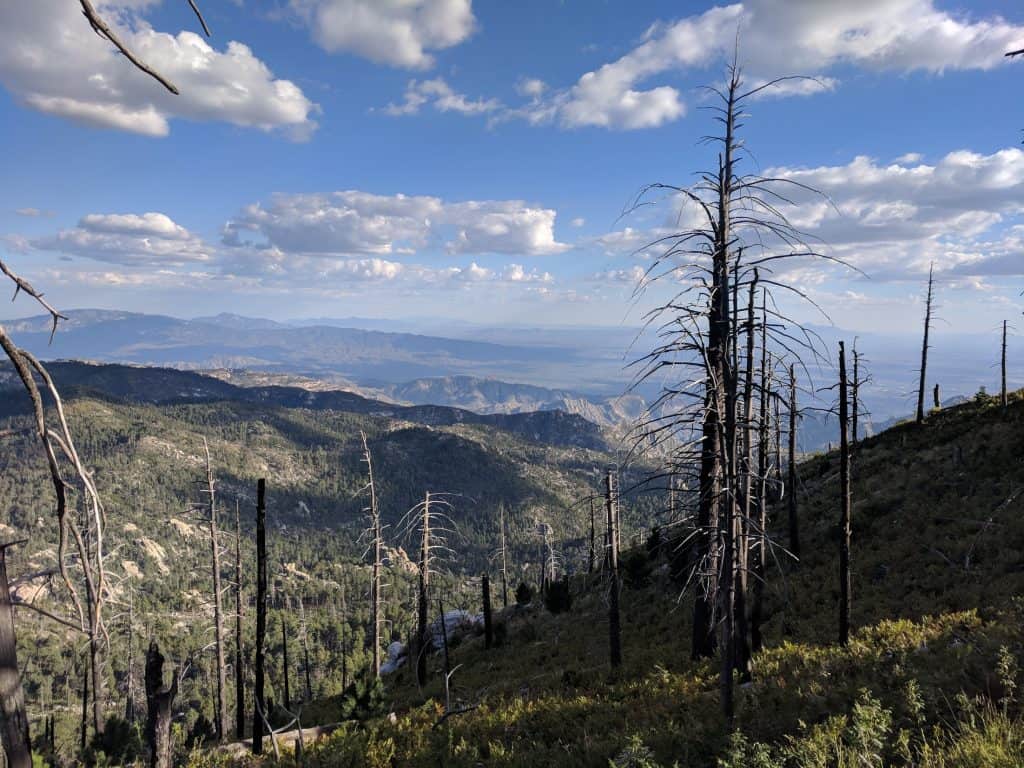 radio ridge trail