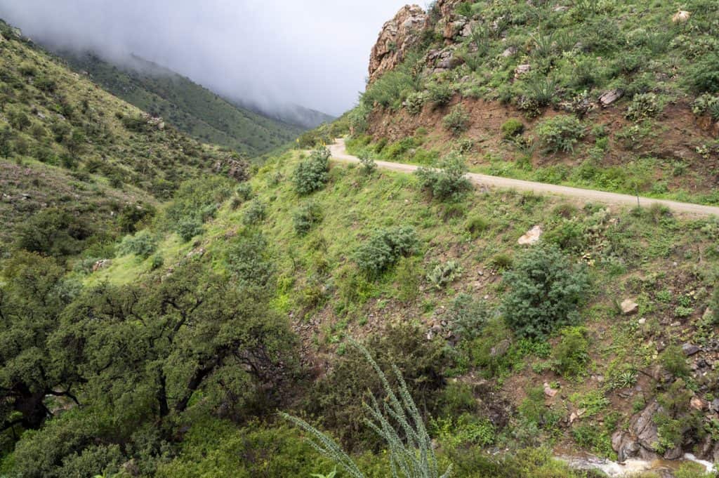 box canyon road winding through the santa rita mountains in southern arizona