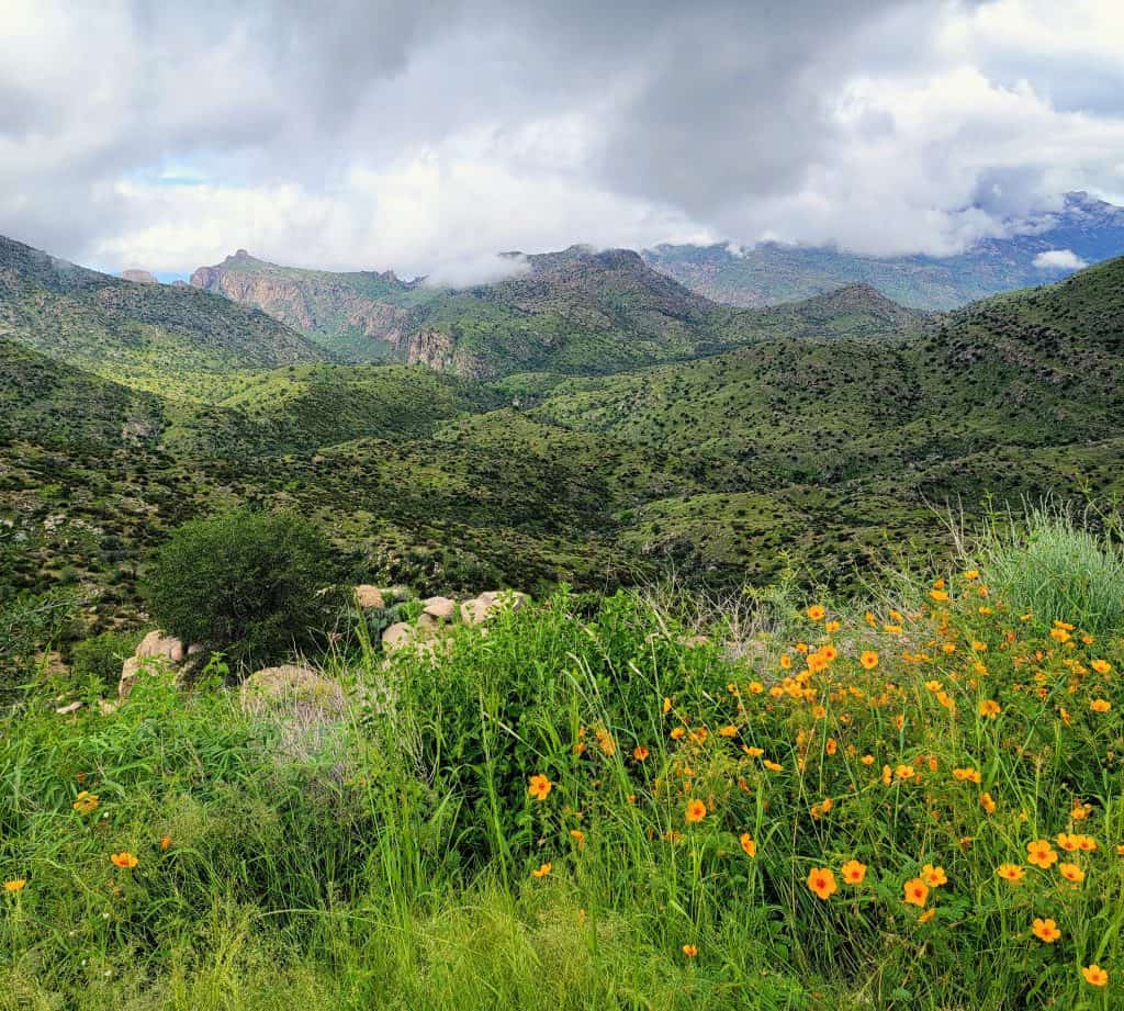 catalina highway thimble peak vista