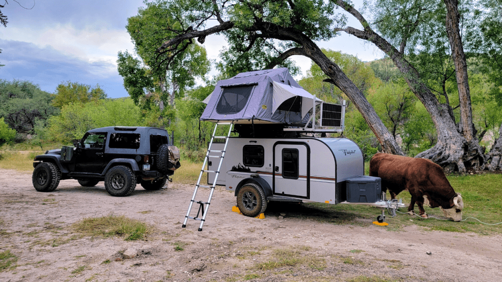 This Southern Arizona Campsite Had Everything We Wanted (And One Thing We Didn’t Expect) 2 mescal road dispersed camping with cattle