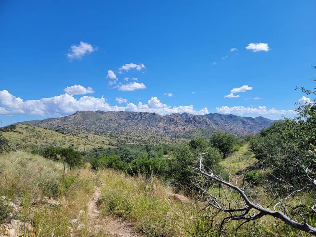 This Southern Arizona Campsite Had Everything We Wanted (And One Thing We Didn’t Expect) 3 view from soldier falls trailhead in southern arizona
