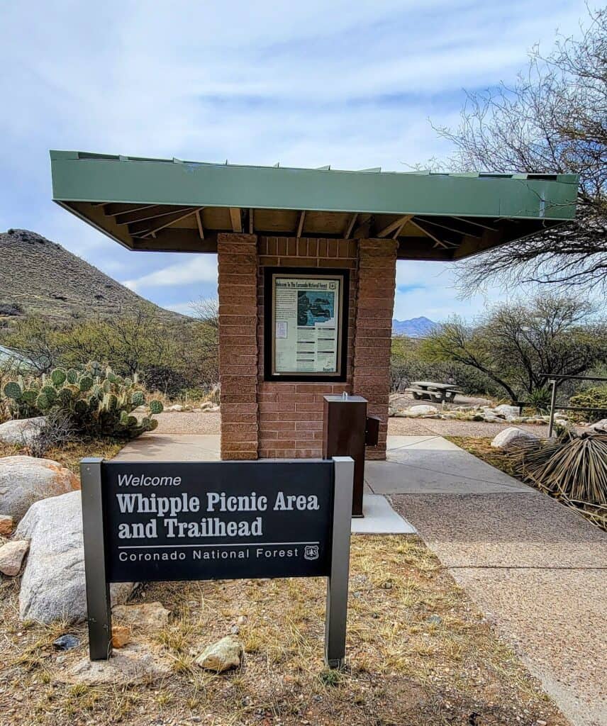 This Winding Road In Southern Arizona Takes You To A World-Class Observatory 2 image 12