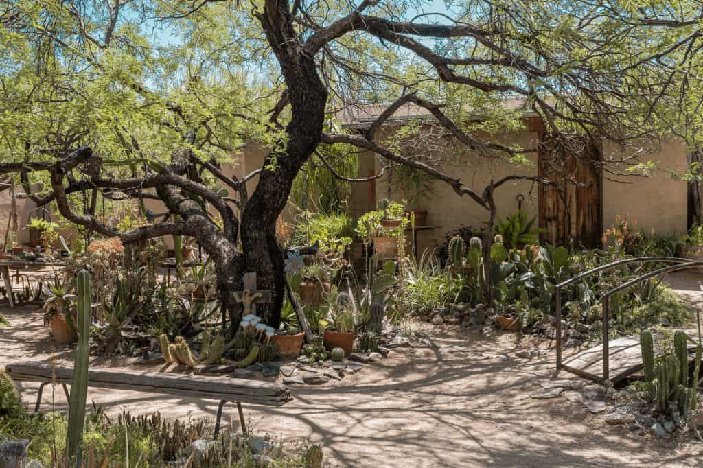 A Tucson Art Gallery That Feels As Untamed As The Desert Around It 19 degrazia courtyard