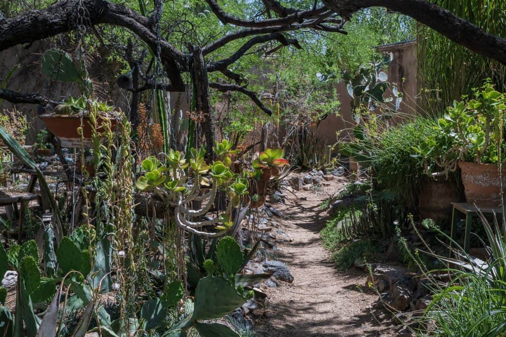 A Tucson Art Gallery That Feels As Untamed As The Desert Around It 21 degrazia courtyard path