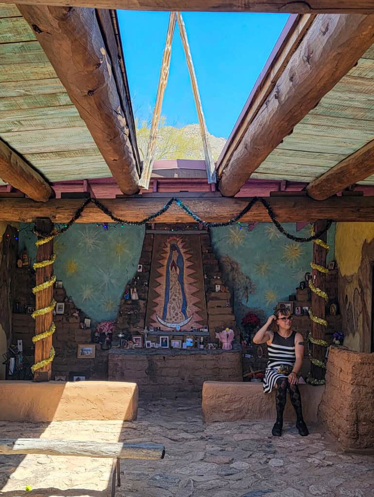 A Tucson Art Gallery That Feels As Untamed As The Desert Around It 11 inside mission in the sun