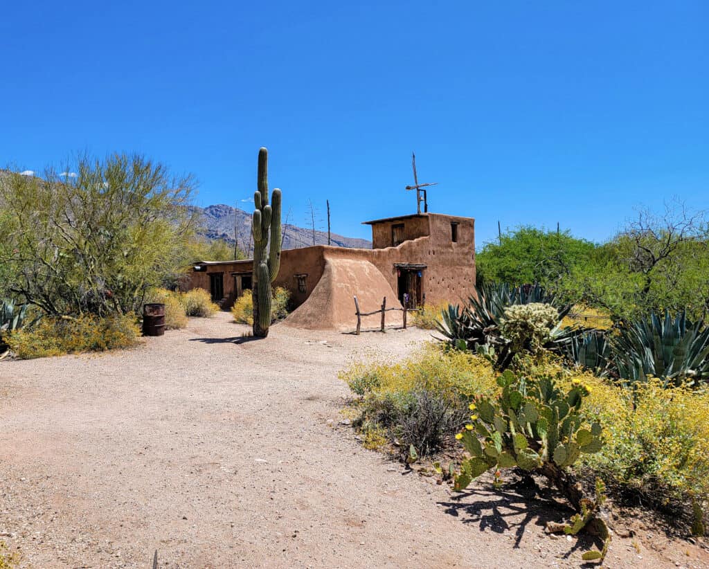 A Tucson Art Gallery That Feels As Untamed As The Desert Around It 14 mission in the sun